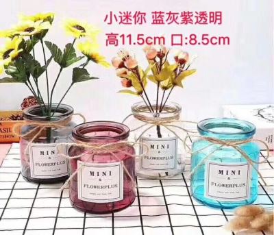 Creative living room flower glass transparent display pieces contracted home decoration flowers vase decoration