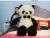Doll treasure panda cuddle bear plush toy doll girl doll cute cutie doll
