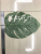 Silk screen back leaf old turtle cover leaf arrangement accessories simulation leaves leaves leaves plant leaves