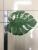 Glossy silk screen printed cave turtle leaf flower arrangement accessories home furnishing