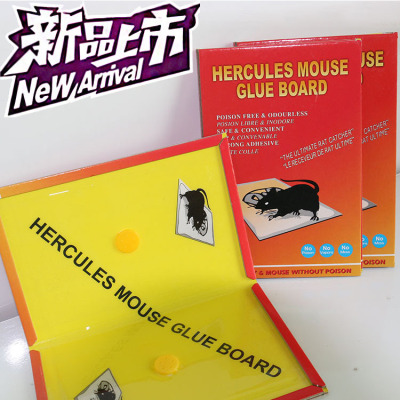 Manufacturers direct pest control products export sticky mouse board mouse Nemesis environmental friendly non-toxic mouse board