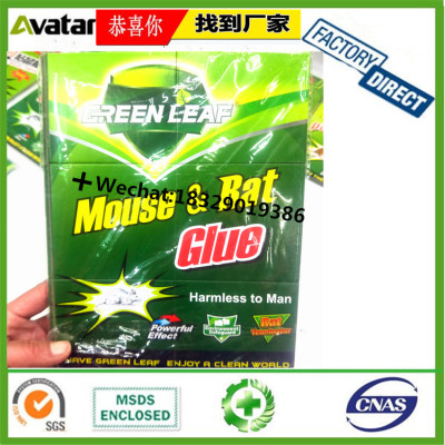 GREEN LEAF MOUSE RAT GLUE Green Board mouse glue trap