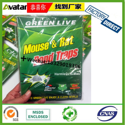  GREEN LIVE MOUSE RAT BAND TRAPS For Catching Mouse Glue For Mouse