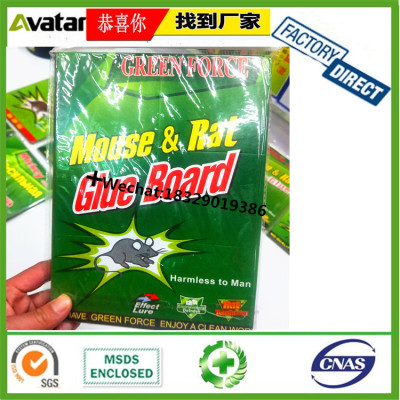 GREEN FORCE MOUSE & RAT GLUE BOARD Trpper Rat Mouse Glue For Mouse Rat Board Trap
