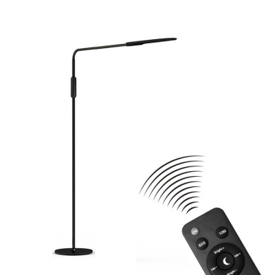Amazon hot style remote control led eye-protection floor lamp living room bedroom study reading vertical lamp wholesale lamp