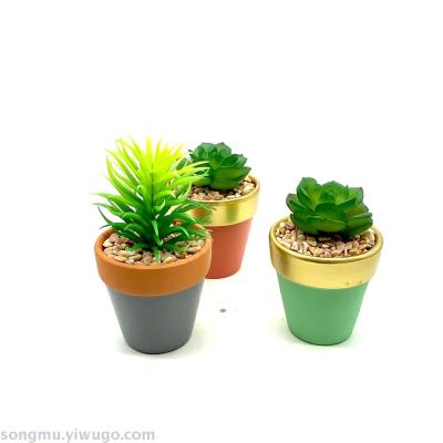 Succulent pot creative Succulent plant ceramic Nordic cartoon pot small cute indoor desk furnishings
