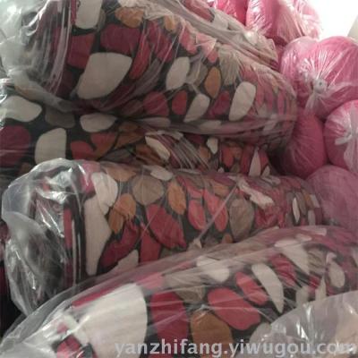 Spot single flannel qiu dong thickened double-sided printing mink flannel fabric flannelette wholesale