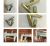 Decorative buckle sliding door soft bag crystal nail buckle wholesale crystal buckle metal strip buckle, sofa buckle