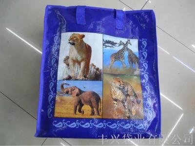 Animal Printed Woven Bag
