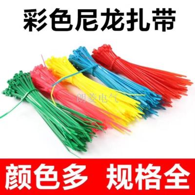 Colored Nylon Plastic Cable Tie