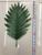 Perforated anemone leaf jack iron leaves large and small series of qingming flower flower accessories
