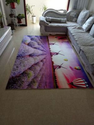 Landscape carpet door mat 40/60