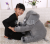 Douyin is the same kind of elephant pillow soothing elephant air conditioner Douyin plush toy doll baby sleep with creative dolls