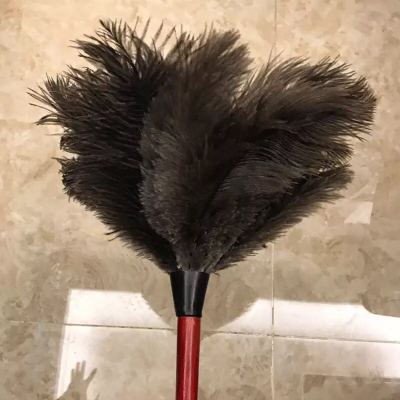 Ostrich Feather Dust Bomb Anti-Static Dust Bomb