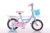 Bicycle new women's buggy 121416 with rear seat car bicycle basket