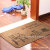 Shida 5080 Taobao Hot Sale Rectangular Rub Printing Non-Slip Absorbent Home Floor Mat Non-Slip Mat