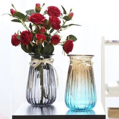 Glass creative simple Glass vase transparent discoloration hydroponic flower pot living room furnishings