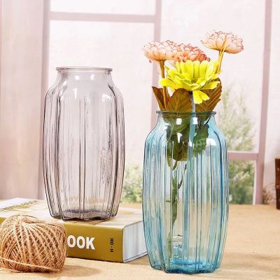 Glass vase of contemporary and contracted Glass colour vase transparent sitting room tabletop places piece hydroponics vase