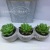 New Creative Plaster Base Simulation Succulent Candle Smokeless Candles Ornaments