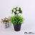 Decoration decoration sitting room potted table beautification home decoration in two-color five-flower decoration flowers home decoration decoration decoration decoration decoration