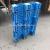 Pallet Forklift Pallet Plastic Cardboard Cabinet Pallet Export Damp Proof Board Tray Plastic 12080 Grid Sichuan 