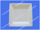 10 "square plate environmentally degradable bagasse disposable tableware disposable plate