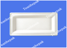 10*5 "tray with environmentally friendly biodegradable bagasse disposable tableware disposable plate