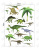 Three Generations Wall Stickers Children's Room Classroom Sticker Decoration Bedroom Cartoon Wall Wallpaper Dinosaur Era