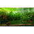 Fish tank background paper drawing hd 3d aquarium sticker Fish tank wallpaper decoration water plant spray painting