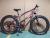 Bicycle 26 inches 21 speed python snow bike new factory direct sales