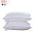 Hotel Pure Cotton Pillow Pillow Insert Adult Authentic Household Feather Velvet Pillow Hotel Bedding Feather Fabric Pillow Interior