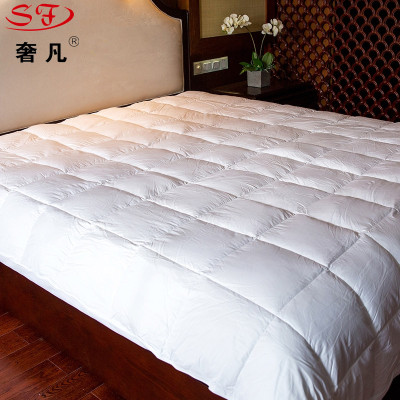 Five-star hotel imitation goose down quilt core autumn and winter by guesthouse imitation down quilt soft and comfortable thickening warm ultra-light
