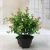 Mini simulation bonsai flower small pot manufacturers direct simulation of flower plants