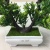 Mini simulation bonsai flower small pot manufacturers direct simulation of flower plants