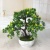 Mini simulation bonsai flower small pot manufacturers direct simulation of flower plants