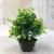 Mini simulation bonsai flower small pot manufacturers direct simulation of flower plants