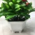 Mini simulation bonsai flower small pot manufacturers direct simulation of flower plants