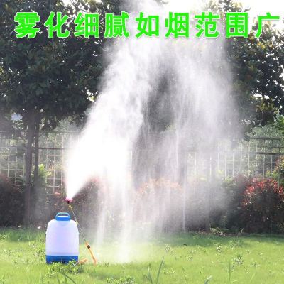 Electric sprayer to 25 l Electric sprayer to wash the car hit pesticide watering garden machinery