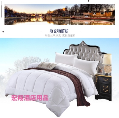 Five-star hotel hongxiang quilt core summer four seasons universal winter thickened cotton air conditioning quilt