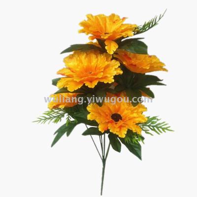 Seven phoenix chrysanthemums