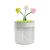 2019 New Landscape Cup Humidifier Mini Colorful Light Plant Landscape Car Desktop Mute Spray Humidifier