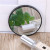 Times magnification made up mirror girl pull out acne to remove blackhead face to put small round mirror portable mirror