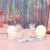 Korean girl's dream unicorn rattan lamp room decorate bedside bedroom decoration gift