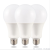 LED bulb lamp A bulb 12W