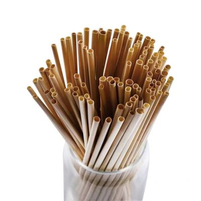 Straw Straw environmental protection 20 cm