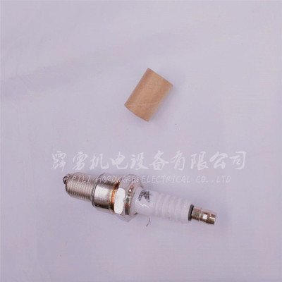 Chain Saw Spark Plug/Mower/Grass Trimmer Spark Plug/Two-Stroke Four-Stroke Chain Saw/Mower Spark Plug