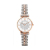 Meige mitianxing steel band women's watch cross-border hot diamond face brand quartz watch manufacturers spot