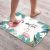 Diatom Ooze Soil Mat Household Sanitary Bathroom Non-Slip Carpet Entrance Waterproof Quick-Drying Absorbent Floor Mat