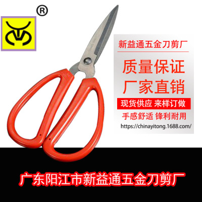 Yangjiang household scissors \\ \"eight straight head kitchen scissors and cut paper 7 cut paper plastic handle stainless steel kitchen scissors