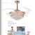 LED fan light, fan light, ceiling fan light